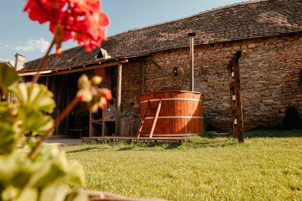 Gasthaus Casa Pe Valea Hartibaciului Barcut Exterior foto