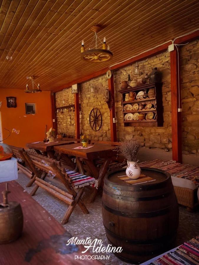 Gasthaus Casa Pe Valea Hartibaciului Barcut Exterior foto