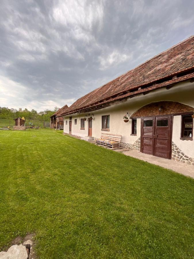 Gasthaus Casa Pe Valea Hartibaciului Barcut Exterior foto