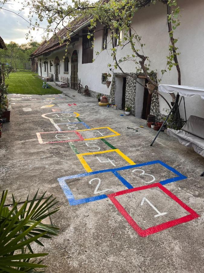 Gasthaus Casa Pe Valea Hartibaciului Barcut Exterior foto