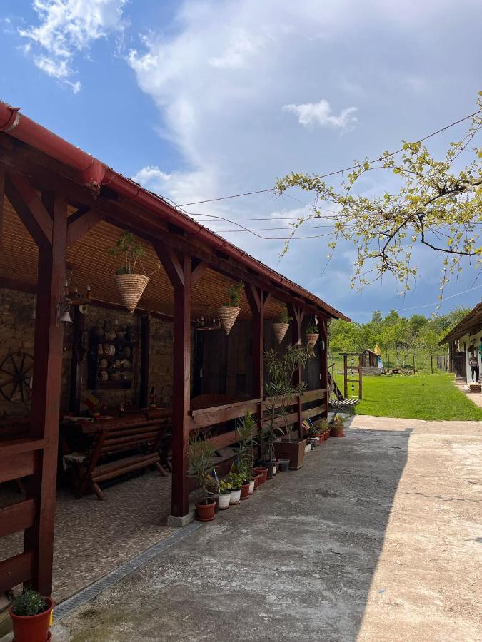 Gasthaus Casa Pe Valea Hartibaciului Barcut Exterior foto