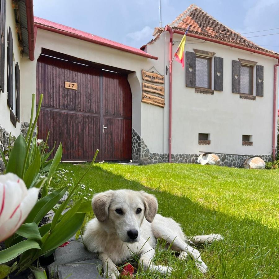 Gasthaus Casa Pe Valea Hartibaciului Barcut Exterior foto