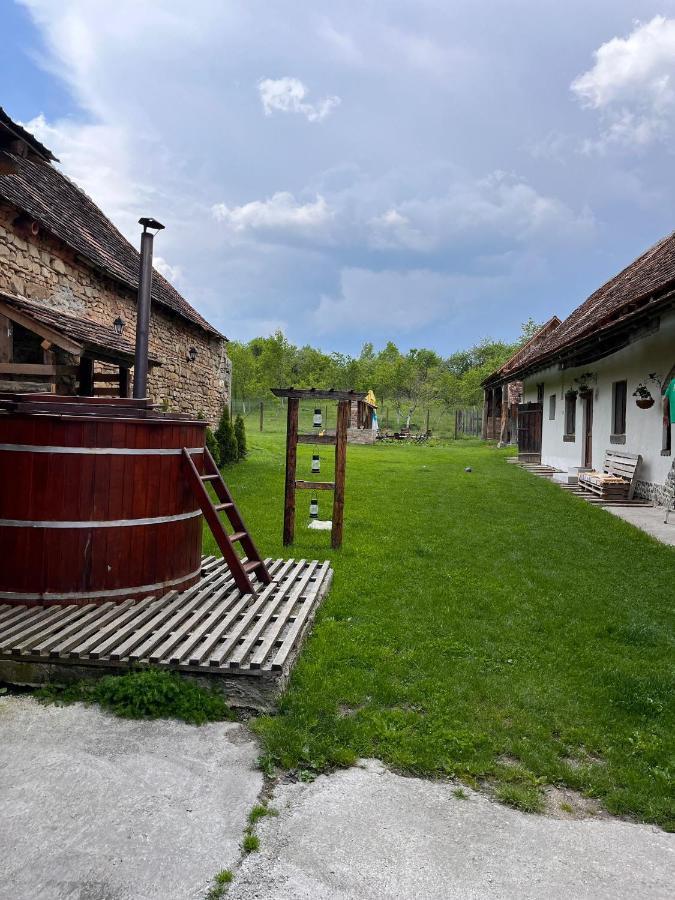 Gasthaus Casa Pe Valea Hartibaciului Barcut Exterior foto